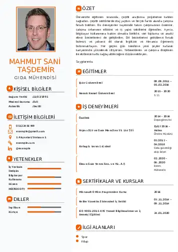 Gıda Mühendisi CV Örnekleri cv indir